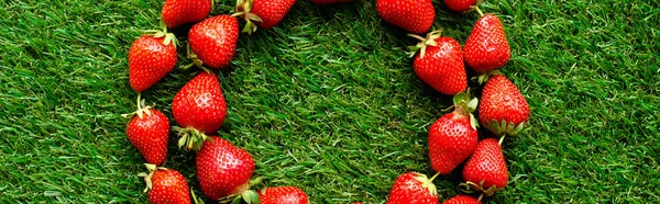 Röda Färska Jordgubbar Grönt Gräs Nära Utsikt — Stockfoto