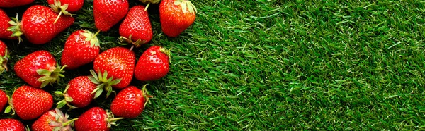 Red Fresh Strawberries Green Grass Close View — Stock Photo, Image