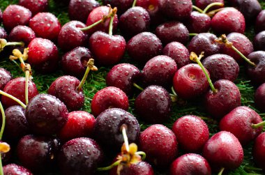 Yeşil çimlerde kırmızı taze kirazlar, yakın görüş.