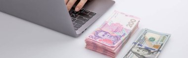 Hryvnia yakınlarında dizüstü bilgisayarda çalışan kadın ve dolar banknotları, yakın görüş