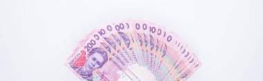 Beyaz arkaplanda izole edilmiş 200 hryvnia banknot koleksiyonu, yakın görünüm