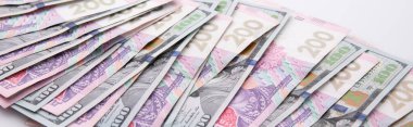 Beyaz arka planda izole edilmiş yüz dolar ve iki yüz hryvnia banknot koleksiyonu, yakın görüş