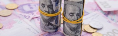 Dolar koleksiyonu ve bozuk paralarla Hryvnia banknotları.