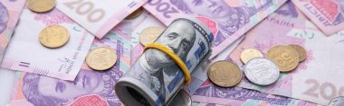 Dolar koleksiyonu ve bozuk paralarla Hryvnia banknotları.