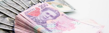 Beyaz arka planda izole edilmiş yüz dolar ve iki yüz hryvnia banknot koleksiyonu, yakın görüş