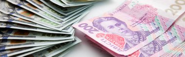 Beyaz arka planda izole edilmiş yüz dolar ve iki yüz hryvnia banknot koleksiyonu, yakın görüş
