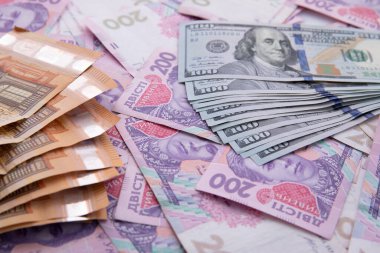 Avro banknotları beyaz arka planda izole edilmiş, kapalı manzaralı yüz dolar ve iki yüz hryvnia koleksiyonu