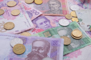 Beyaz arkaplanda izole edilmiş bozuk paraların olduğu Hryvnia banknot koleksiyonu, yakın görünüm
