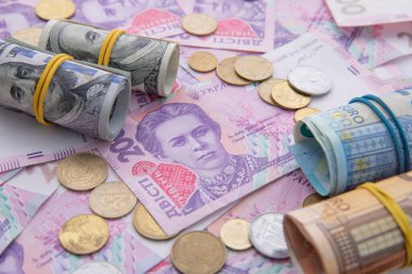 Avro banknotları ve bozuk paralarla dolar ve hryvnia koleksiyonu, yakın görüş