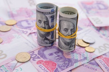 Dolar koleksiyonu ve bozuk paralarla Hryvnia banknotları.