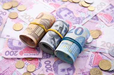 Avro banknotları ve bozuk paralarla dolar ve hryvnia koleksiyonu, yakın görüş
