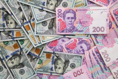 Beyaz arka planda izole edilmiş yüz dolar ve iki yüz hryvnia banknot koleksiyonu, yakın görüş
