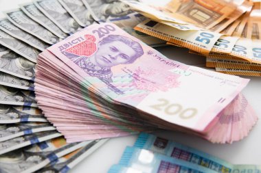 Avro banknotları beyaz arka planda izole edilmiş, kapalı manzaralı yüz dolar ve iki yüz hryvnia koleksiyonu