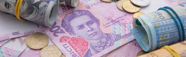 Avro banknotları ve bozuk paralarla dolar ve hryvnia koleksiyonu, yakın görüş