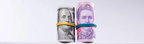 Beyaz arka planda izole edilmiş dolar ve hryvnias ruloları, yakın görüş