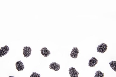 Beyaz arka planda çiğ taze böğürtlen, yakın görüş 