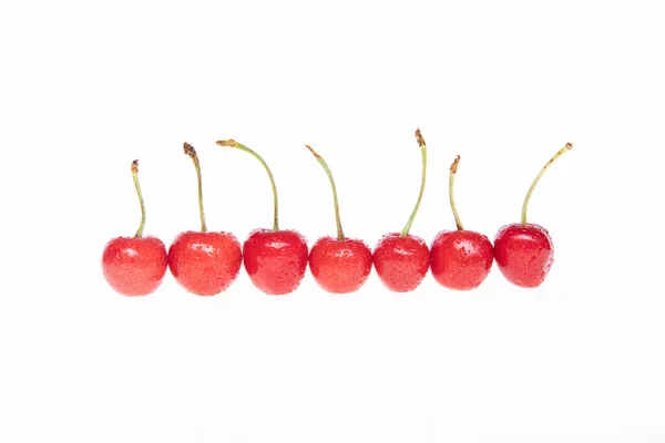 红色生鲜樱桃 白色底色 — 图库照片