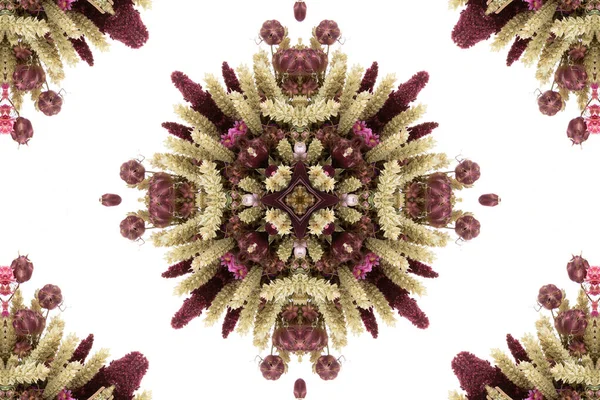 Padrão Sem Costura Colorido Abstrato Com Motivos Florais Flores Folhas — Fotografia de Stock