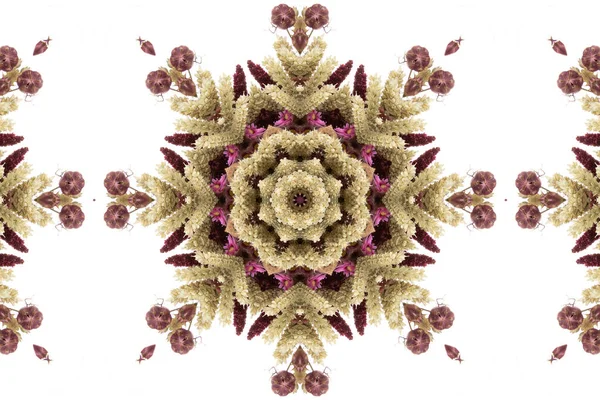 Abstraktes Farbenfrohes Nahtloses Muster Mit Floralen Motiven Aus Blumen Und — Stockfoto