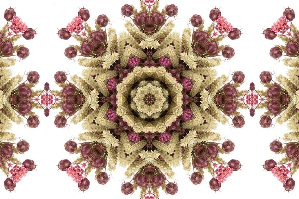 Abstraktes Farbenfrohes Nahtloses Muster Mit Floralen Motiven Aus Blumen Und — Stockfoto