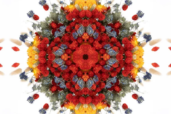 花序从花朵和叶子中提取的多彩的无缝图案 免版税图库照片