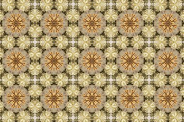 Çiçek ve yaprakların çiçek motifleri ile soyut renksiz desen  