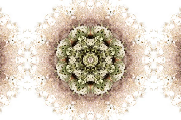 Abstraktní Barevný Bezešvý Vzor Květinovými Motivy Květin Listů — Stock fotografie