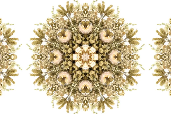 Абстрактний Красивий Безшовний Барвистий Квітковий Візерунок Квітів Листя — стокове фото