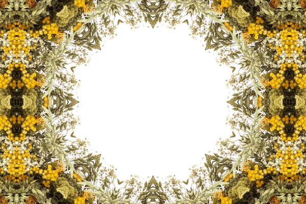 Abstrakte Schöne Bunte Florale Rahmen — Stockfoto