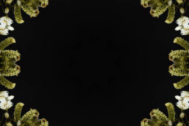 Çiçek ve yaprakların çiçek motifleri ile soyut renksiz desen  