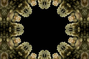 Çiçek ve yaprakların çiçek motifleri ile soyut renksiz desen  