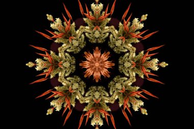 Çiçek ve yaprakların çiçek motifleri ile soyut renksiz desen  