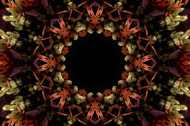 Çiçek ve yaprakların çiçek motifleri ile soyut renksiz desen  