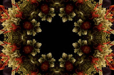 Çiçek ve yaprakların çiçek motifleri ile soyut renksiz desen  