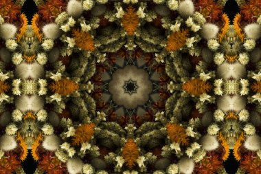 Çiçek ve yaprakların çiçek motifleri ile soyut renksiz desen  