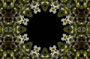 Çiçek ve yaprakların çiçek motifleri ile soyut renksiz desen  