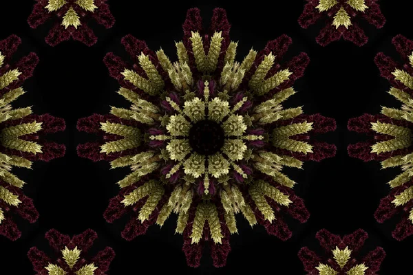 Abstract Kleurrijk Naadloos Patroon Met Bloemmotieven Van Bloemen Bladeren — Stockfoto