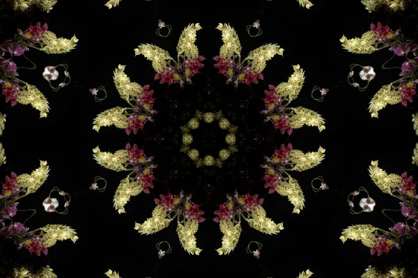 Patrón Inconsútil Colorido Abstracto Con Motivos Florales Flores Hojas — Foto de Stock
