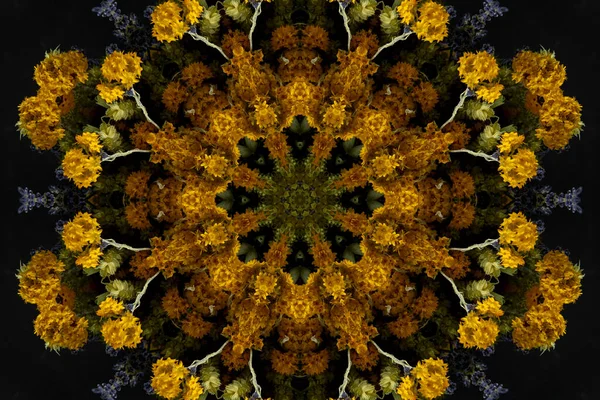 Motif Abstrait Sans Couture Coloré Avec Des Motifs Floraux Fleurs — Photo