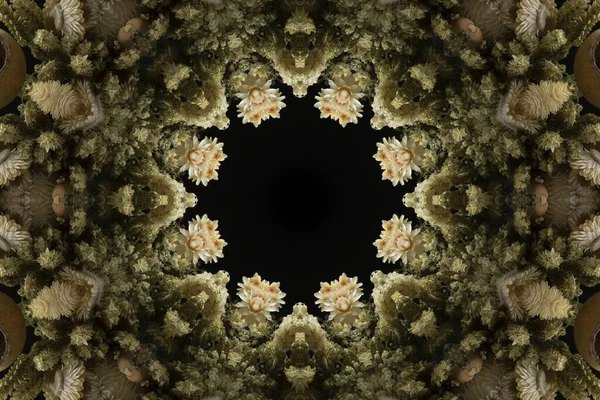 잎에서 꽃무늬가 추상적 바닷말 — 스톡 사진