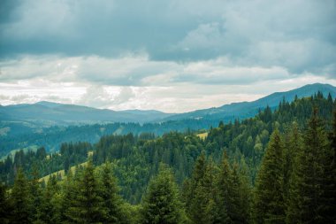 Güzel dağ manzarası. Avrupa yaz mevsiminde dağlarda tatil 