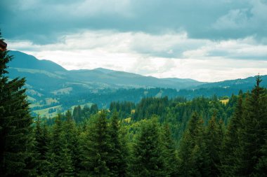 Güzel dağ manzarası. Avrupa yaz mevsiminde dağlarda tatil 