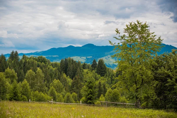 Krásný Výhled Hory Evropská Dovolená Horách Letní Krajina — Stock fotografie