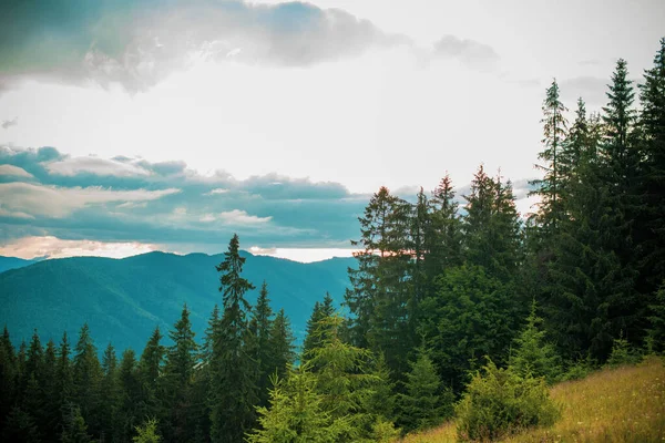 Belle Vue Sur Les Montagnes Vacances Européennes Montagne Paysage Été — Photo