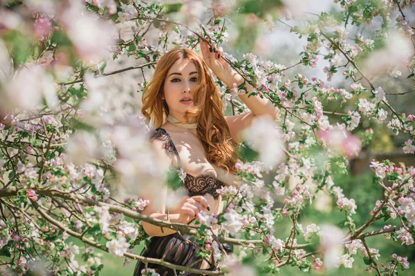 Prachtige Size Meisje Zwart Lingerie Tuin Schoonheid Van Vrouwen — Stockfoto