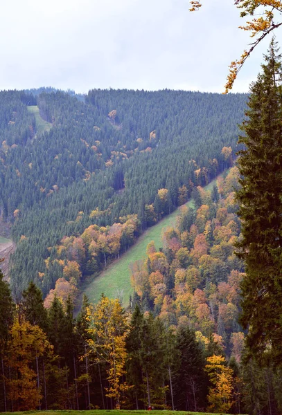 Piękny Widok Góry Europejski Urlop Górskim Krajobrazie — Zdjęcie stockowe