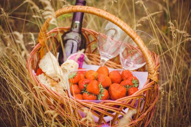 Çilek, ekmek ve şarapla piknik sepeti. Yaz tatlısı, eğlence, açık hava eğlencesi.