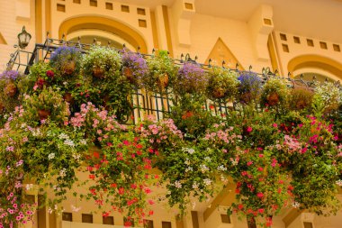 Kiev, Ukrayna, Mayıs: Avrupa sokakları. Şehir ve şehir hayatının eski mimarisi. Kiev, Ukrayna