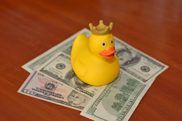 Duck Crown Money Stock Image