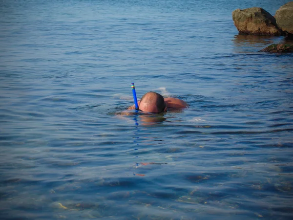 Hombre Encontrar Habitante Del Mar Playa Del Mar — Foto de Stock